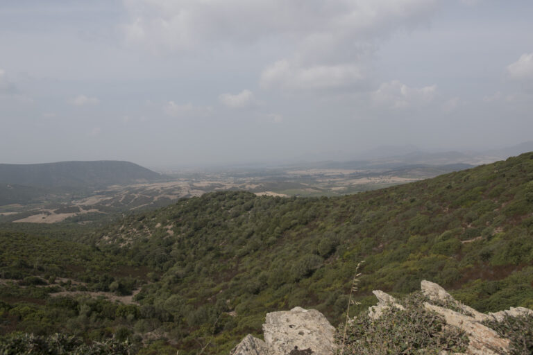 Blick über die sardische Landschaft 